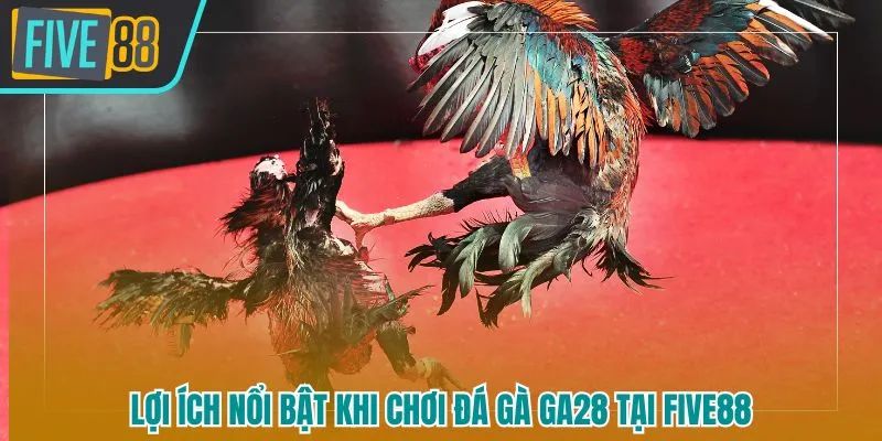 Những lợi ích hấp dẫn khi tham gia sân chơi đá gà GA28 five88 tại nền tảng